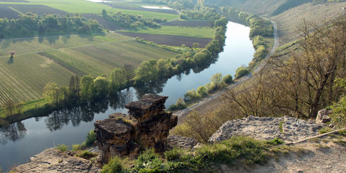 High angle view of trees on landscape