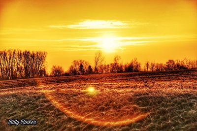 Trees on landscape against sky during sunset