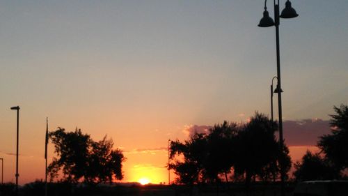 Silhouette of trees at sunset