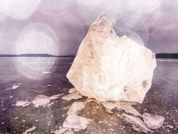 Close-up of ice on rock