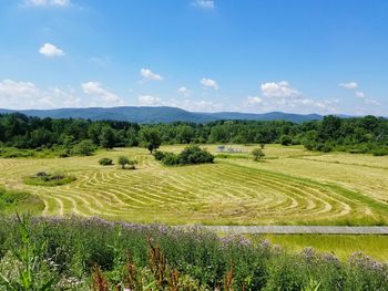 Scenic view of agricultural field against sky