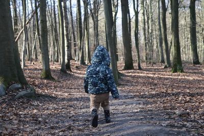 Rear view of man walking in forest