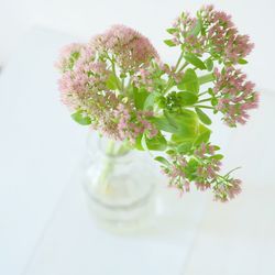 Close-up of flower vase on table against white background