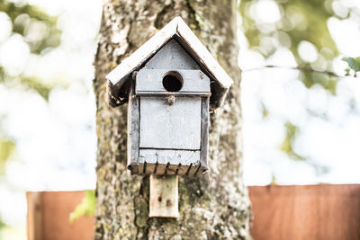 Birdhouse on tree trunk