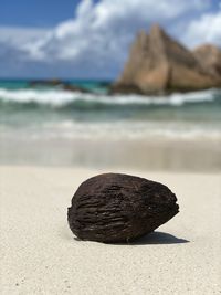 Close-up of rock on beach