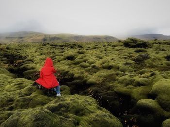 Rear view of woman sitting on moss covered rock formations at eldhraun lava field
