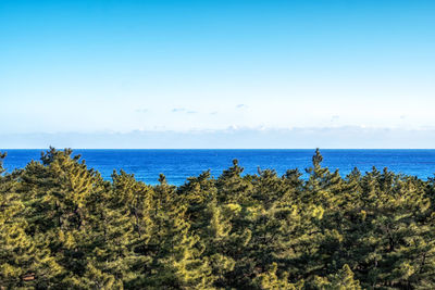 Scenic view of sea against clear sky