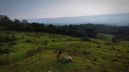 Scenic view of field against sky