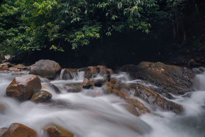 Stream flowing through rocks in forest