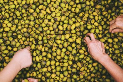 Cropped hands of customers picking fruits at market stall