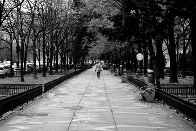 Man walking on road along trees