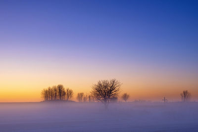 Bare trees on snow field against sky during sunset