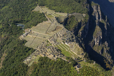 High angle view of trees on landscape - machu picchu