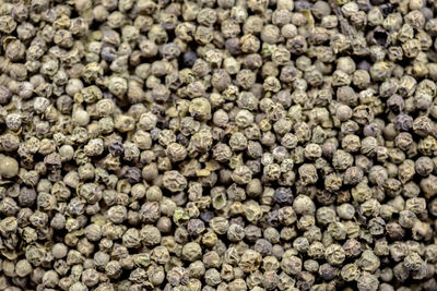 Full frame shot of coffee beans