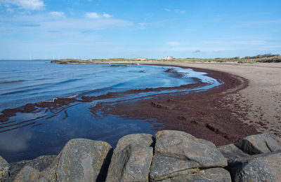 Scenic view of beach against blue sky