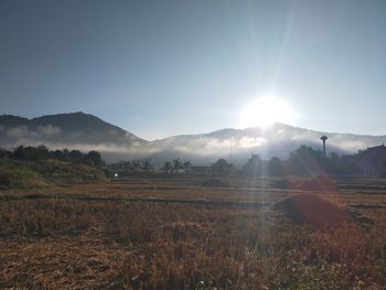 Scenic view of field against bright sun