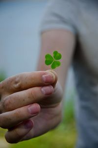 Close-up of hand holding small leaf