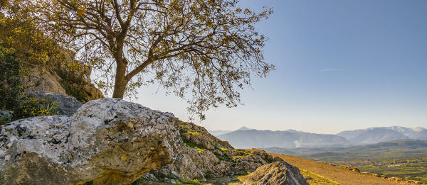 Scenic view of tree mountains against clear sky