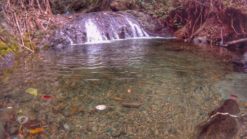 Scenic view of waterfall