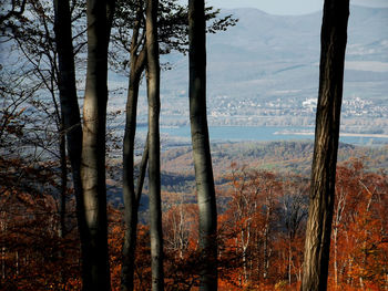 Scenic view of landscape and mountains against sky