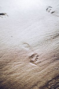 High angle view of footprints on beach