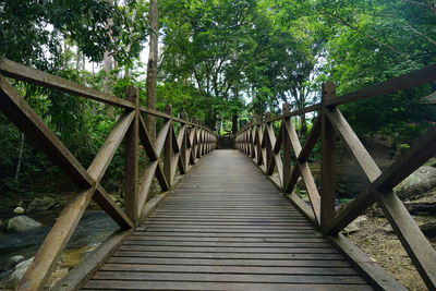 View of footbridge in forest