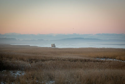 View reed land in the morning fog