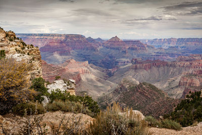 Scenic view of landscape