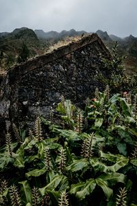High angle view of plants and land against sky