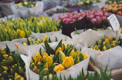 Various flowers at market stall for sale