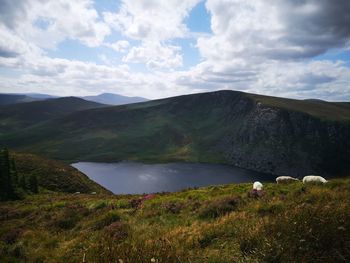 Scenic view of landscape against sky