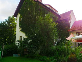 Houses and trees against sky