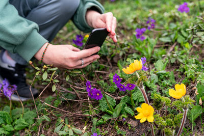 Cropped hand of woman picking flowers