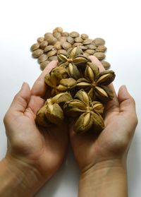 Close-up of hand holding bread