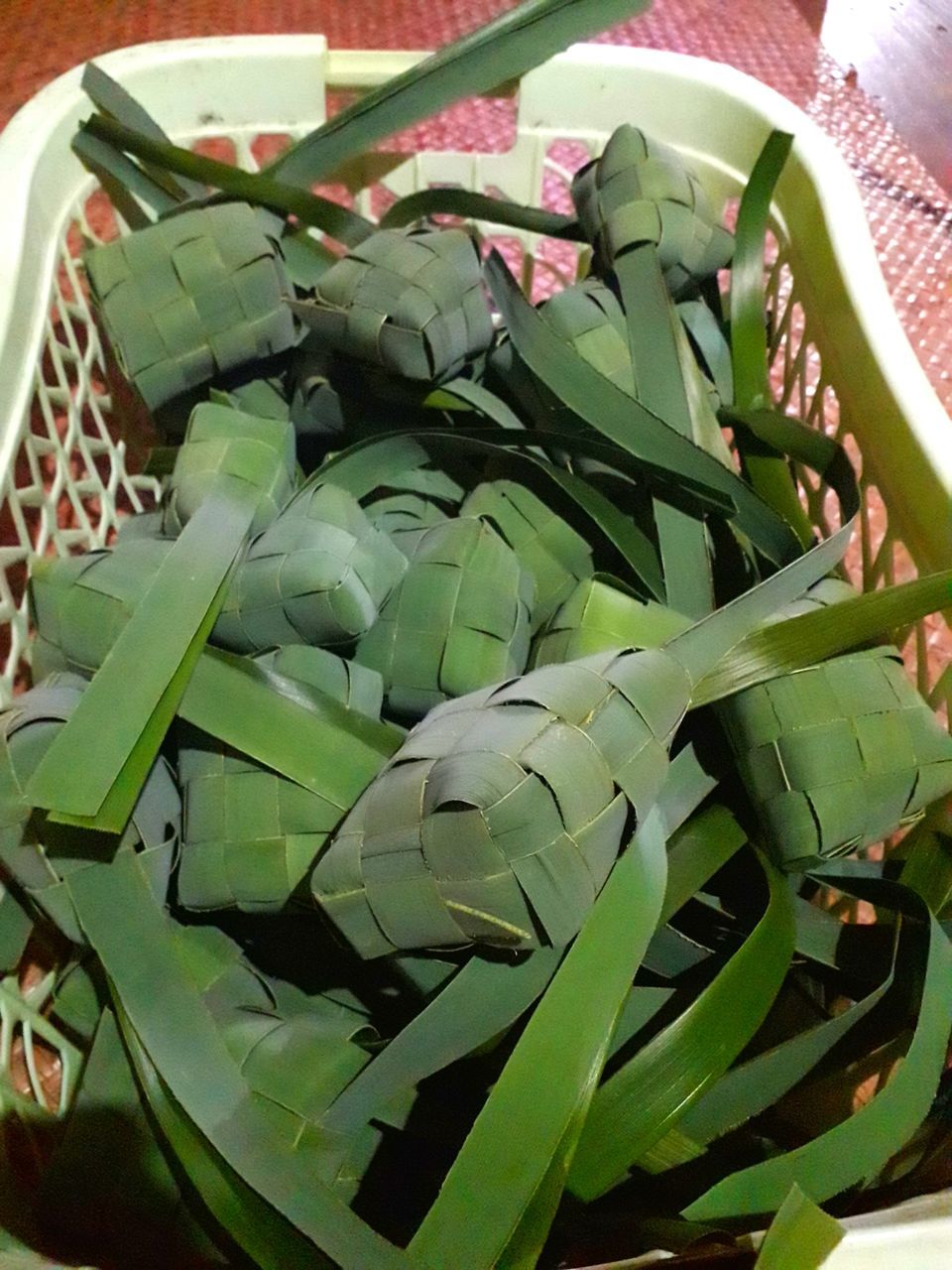 HIGH ANGLE VIEW OF SUCCULENT PLANT LEAVES IN SUNLIGHT