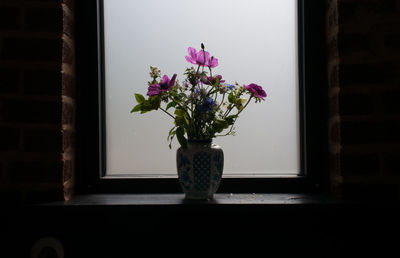 Close-up of potted plant on wall