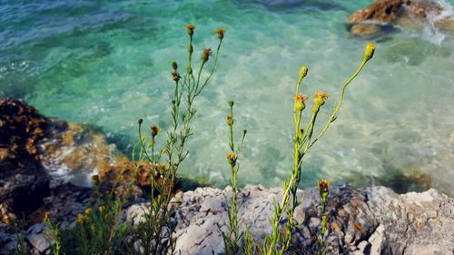 High angle view of rocks by sea