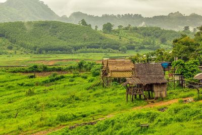 Scenic view of farm against sky