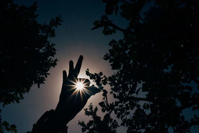 Low angle view of silhouette tree against sky