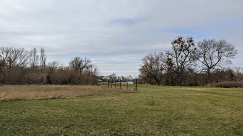 Trees on field against sky