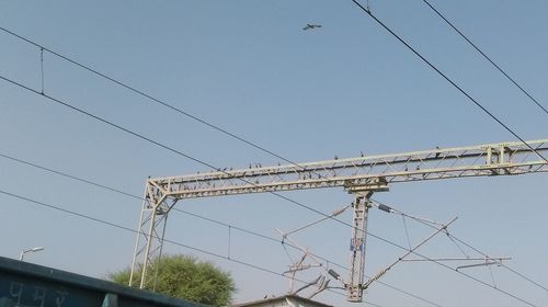 Low angle view of birds against clear sky