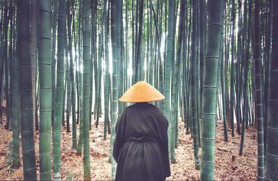 Rear view of man standing in forest