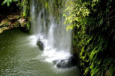 Scenic view of waterfall in forest