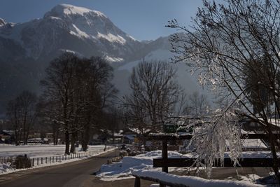 Snow covered trees and mountains against sky