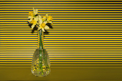 Close-up of yellow flower vase