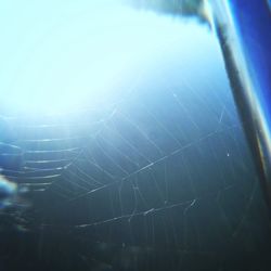 Close-up of spider web against sky