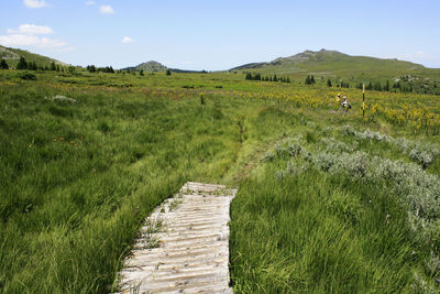 Landscape, road to nowhere...vitosha mountain, bulgaria