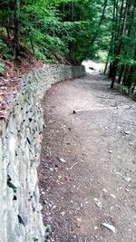 High angle view of stone wall in forest