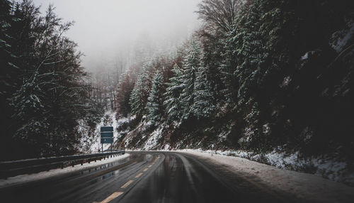 Road amidst trees during winter