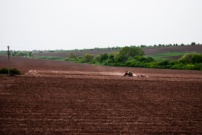 Scenic view of agricultural field against clear sky